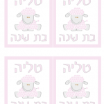 6 סוכריות על מקל בצורת לב ,עם עטיפה מולבשת של שם הילד ודמות 22ש״ח