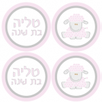 12 דגלונים -טופרים דו צדדיים על מקל קרטיב ,עם שם הילד ודמות 15ש״ח
