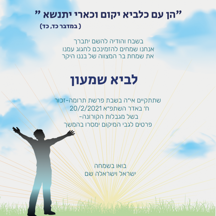 עיצוב הזמנה לבר מצווה -דגם לביא