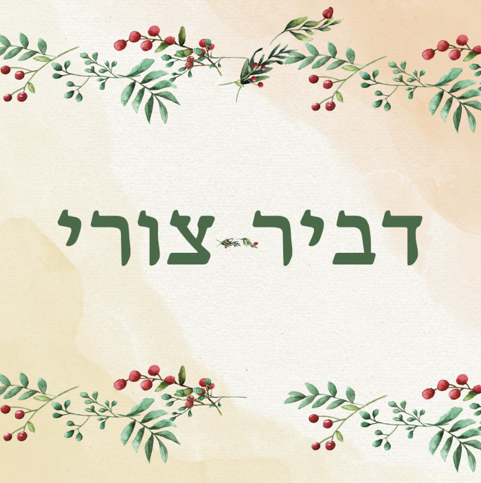 עיצוב הזמנה לבר מצווה -דגם דביר