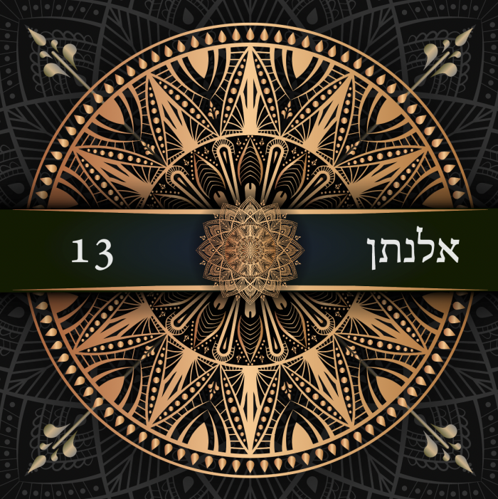עיצוב הזמנה לבר מצווה -אלנתן