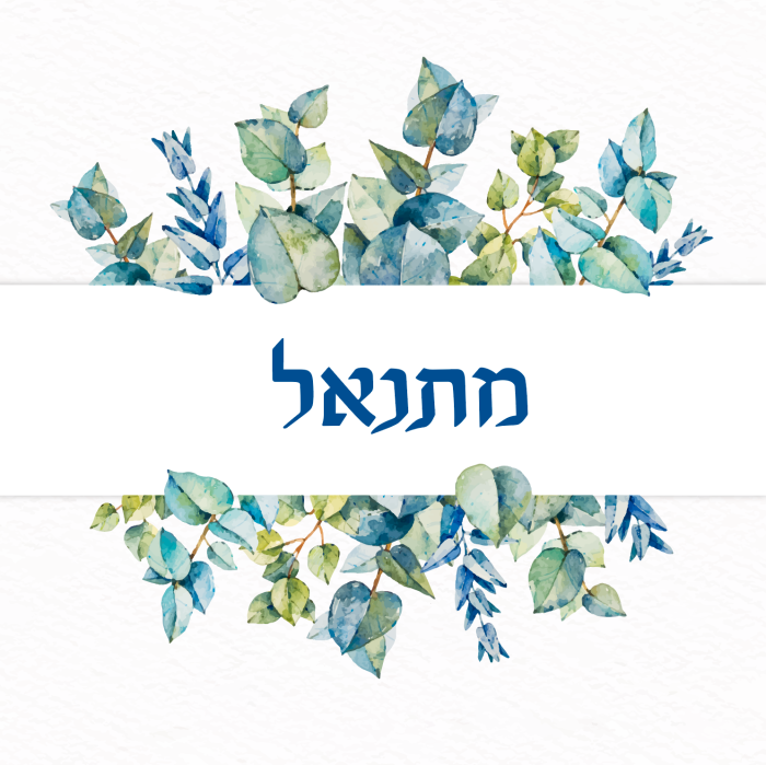 עיצוב הזמנה דיגיטלית לבר מצווה- מתנאל2